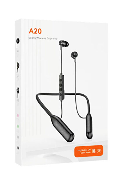 A20